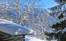 004 - so wie es sich gehört